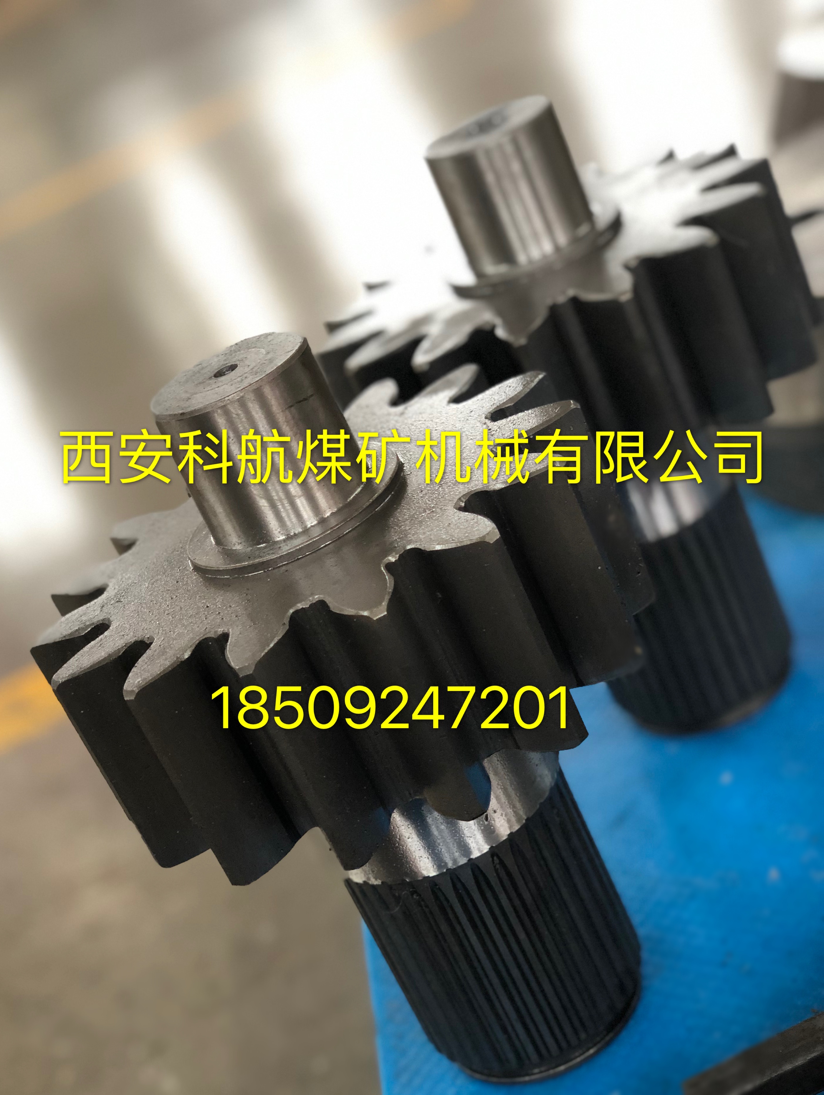 �c���鿴Ԕ��